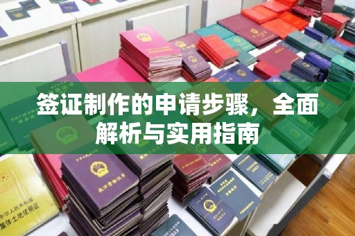 桐乡签证制作的申请步骤，全面解析与实用指南