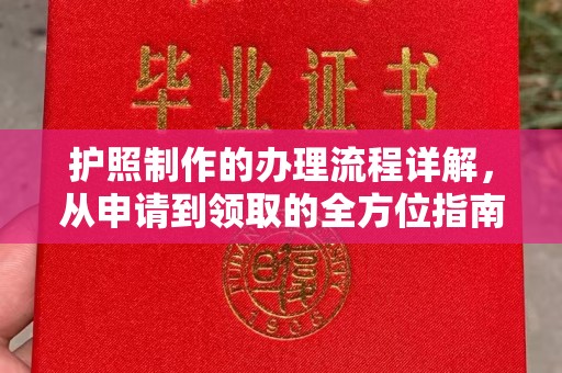 平舆护照制作的办理流程详解，从申请到领取的全方位指南
