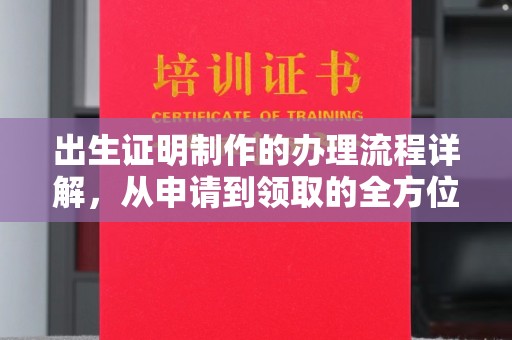 东兰出生证明制作的办理流程详解，从申请到领取的全方位指南